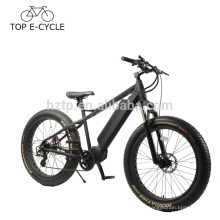 China Elektrofahrrad E Bike 26inch Elektrofahrrad 4.0 Fettes Elektro Mountainbike für die Jagd